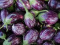 Brinjal (Egg Plant)